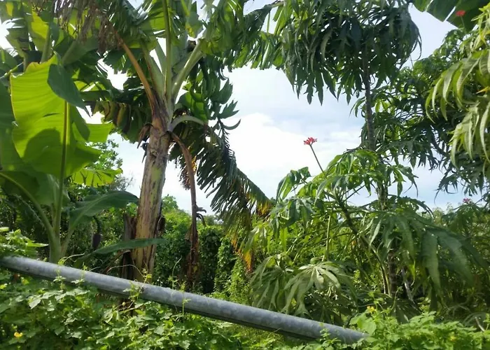 Chinnor-kent Ave Villa Montego Bay